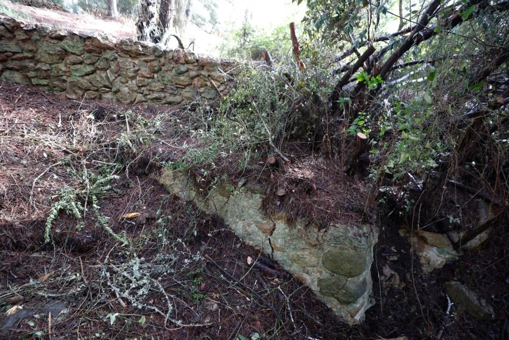 La fuente que alimentaba el canal de Fruitera y los huertos cercanos a Santa Gertrudis vuelve a estar a la vista