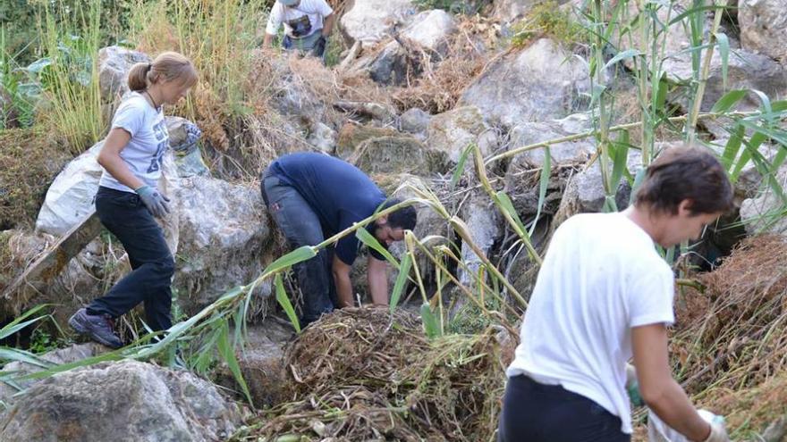 Voluntarios de una asociación limpian el entorno del río Cabra