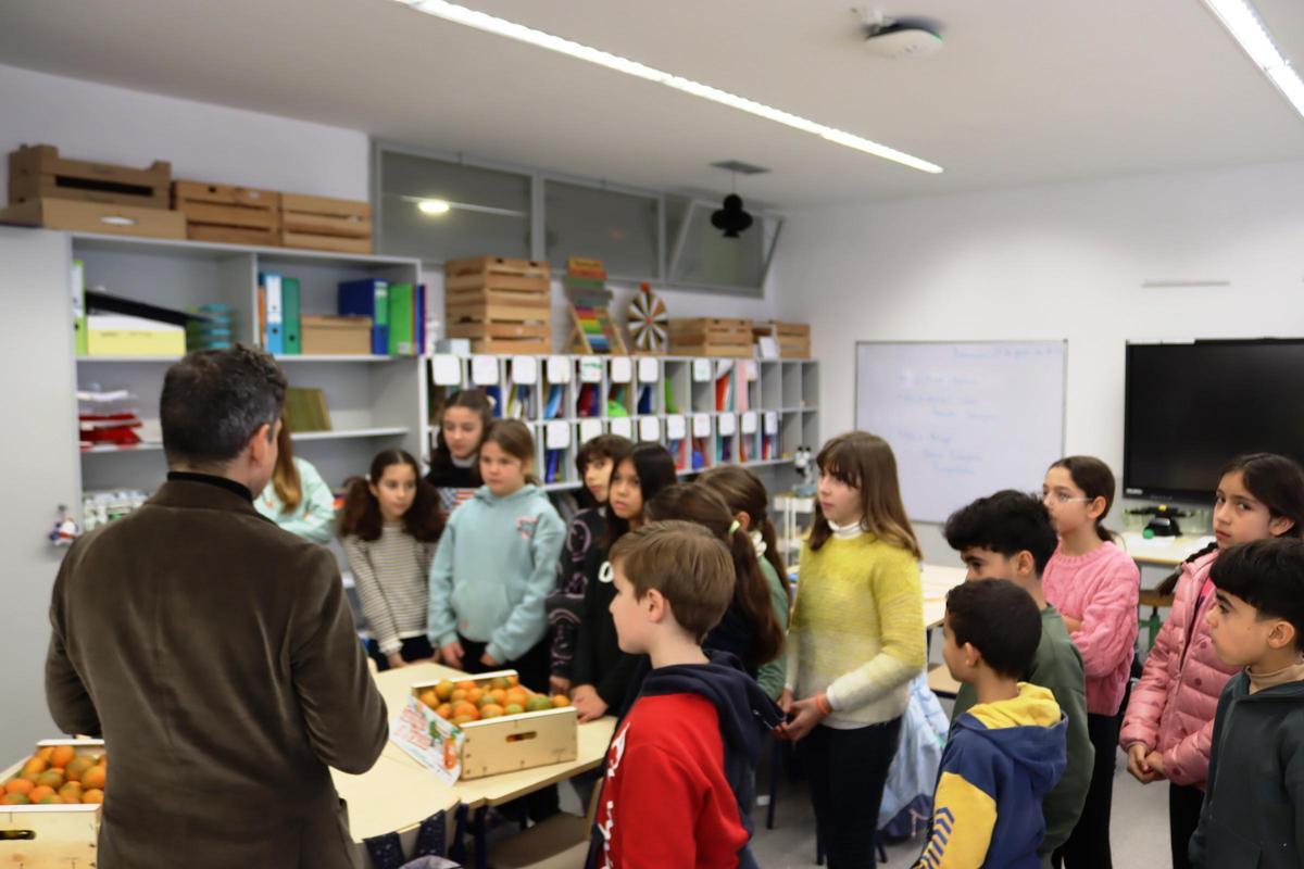 Els escolars coneixen de primera mà el valor del producte local amb la campanya ‘Taronges del meu poble a l’escola’.