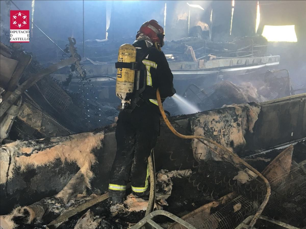 Mueren calcinados 500 conejos en Segorbe