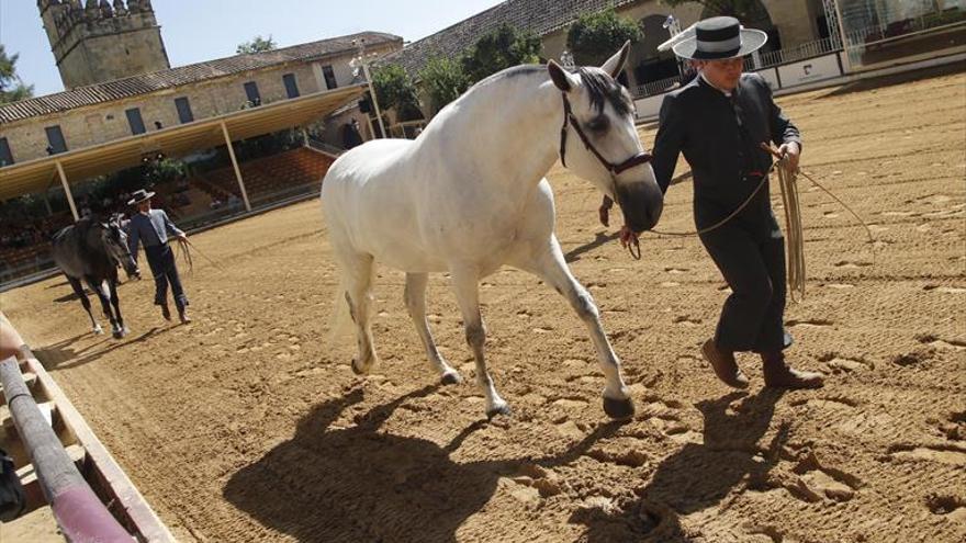 El Ayuntamiento es optimista en cerrar un acuerdo para la cesión de Caballerizas