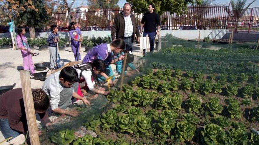 Alumnos y profesores del colegio público Miguel Hernández, ayer en el propio huerto del centro.