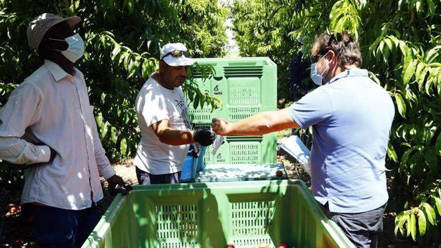 Arrestan al jefe del jornalero que murió abandonado en Lorca tras sufrir un golpe de calor