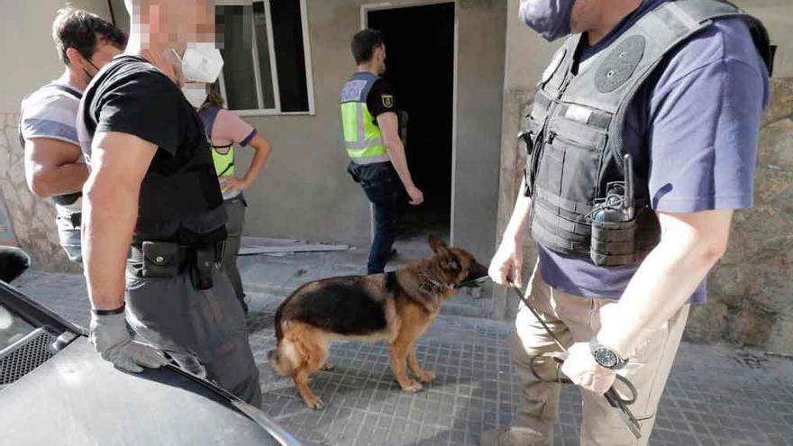 Gran operación policial contra el tráfico de drogas en Palma