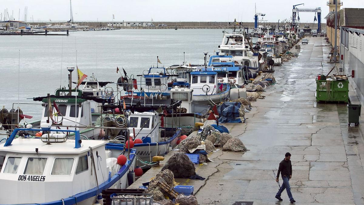 Numerosas parcas de pesca amarradas en el muelle del puerto de Gandia tras una jornada de trabajo en el mar.