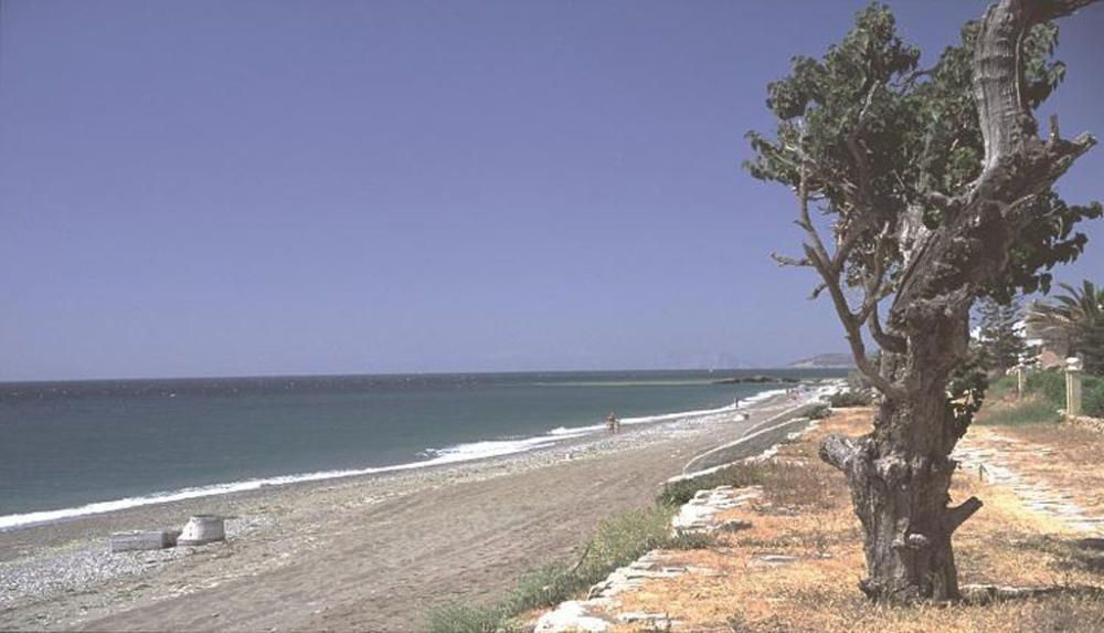 Arroyo Vaquero, en Estepona.