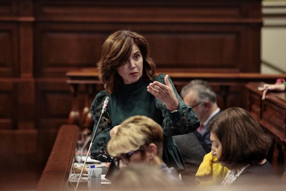 Pleno en el Parlamento de Canarias 11-02-2020  | 11/02/2020 | Fotógrafo: María Pisaca Gámez