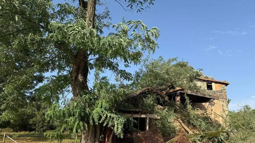 Trece heridos trasladados a hospitales tras la caída de un árbol sobre el porche de una masía en Batet de la Serra