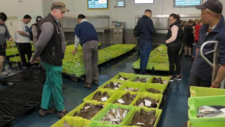 Instantes previos a la subasta de pescado en una lonja gallega. // Miguel Muñiz