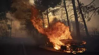 Dos grandes incendios forestales a las afueras de Atenas obligan a evacuar a miles de personas