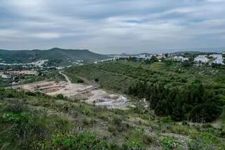 Un bosque en El Zardo compensará la huella de carbono del deporte olímpico