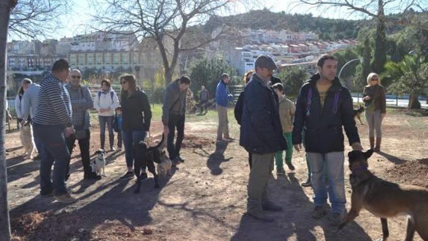 Almassora creará una zona para perros en un espacio acotado de la playa