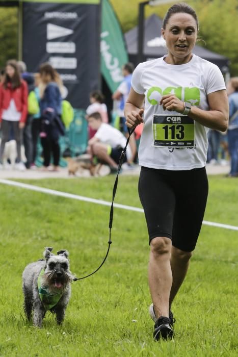 "Can We Run": Deporte, perros y solidaridad toman Gijón