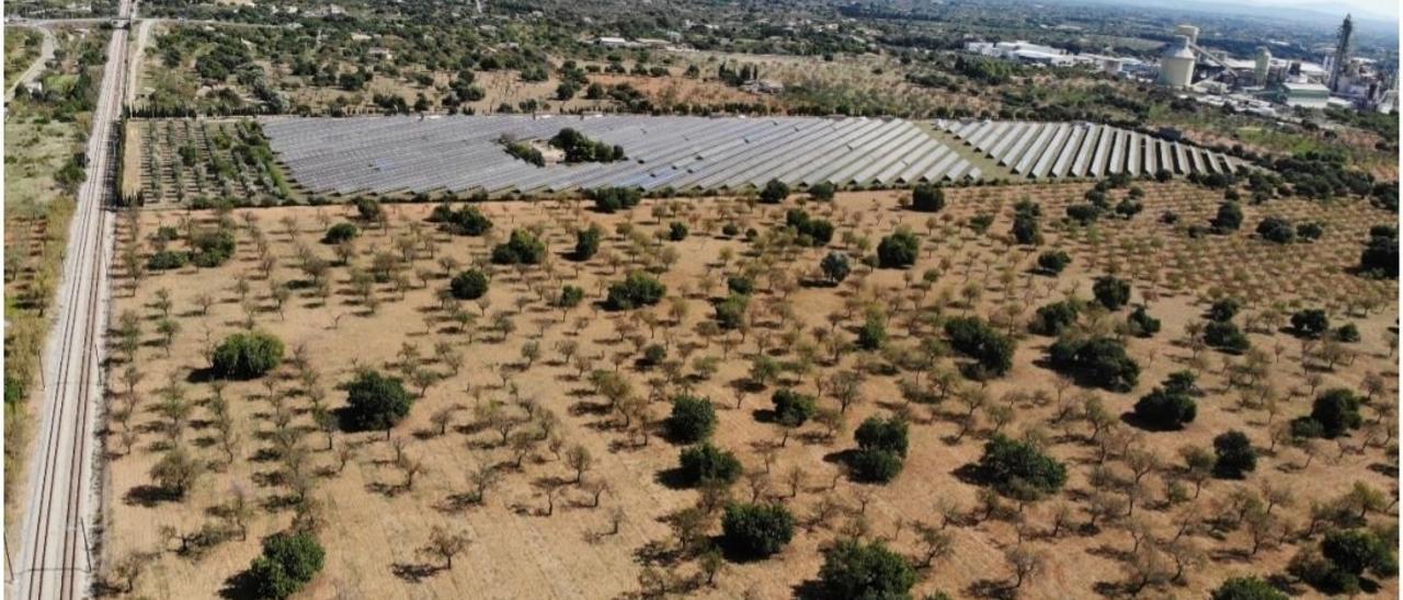 Imagen aérea de la finca donde se proyecta el parque fotovoltaico, anexa a otra parcela donde ya hay una instalación solar.