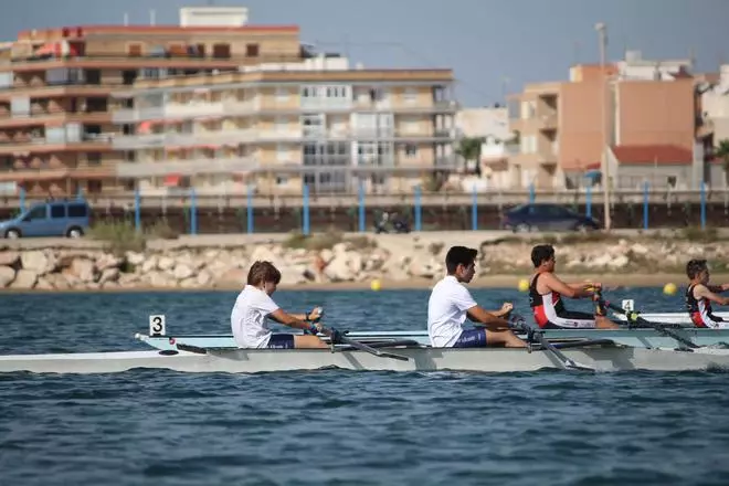 La base del remo autonómico triunfa en Torrevieja