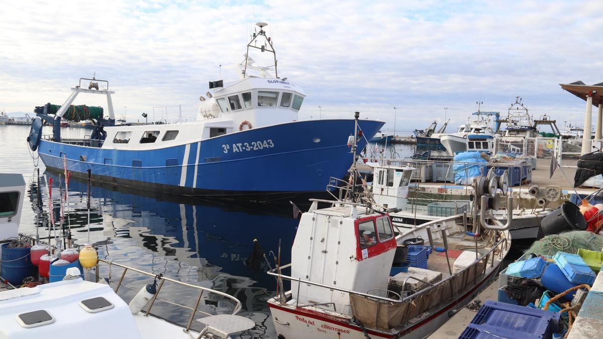 Algunes de les embarcacions de pesca amarrades al port de Roses