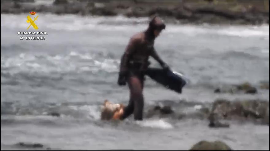 Sorprendido mientras pescaba pulpo, de forma ilegal, en el  islote de Lobos