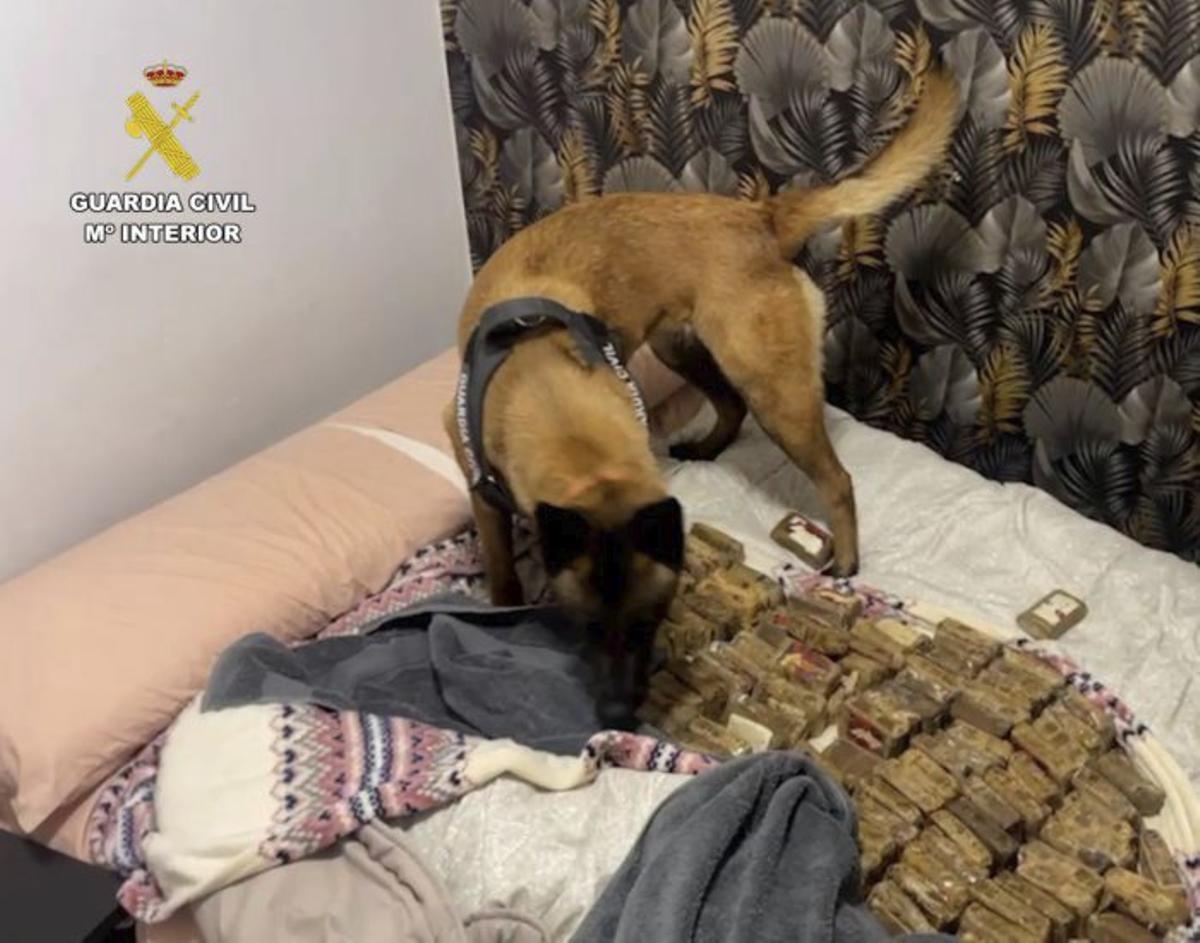 "El Panameño" fue traicionado por un amigo, que dio su ubicación a un sicario