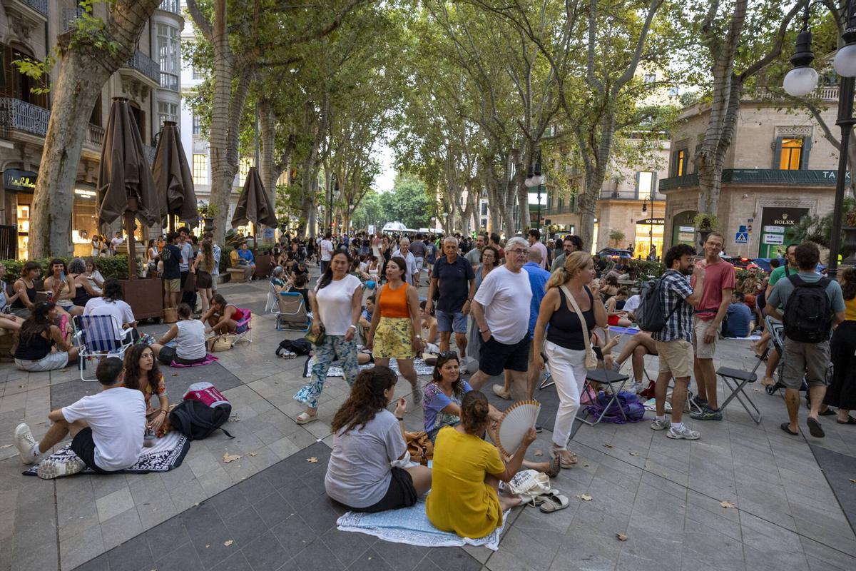 Los palmesanos recuperan el Born: "Hoy el paseo es nuestro" Los palmesanos recuperan el Born: "Hoy el paseo es nuestro"