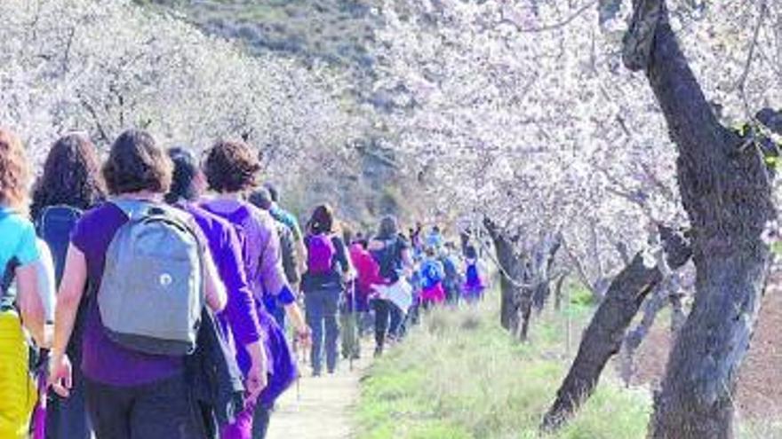 Los deportistas pudieron disfrutar de los almendros en flor. | MIGUEL ALMÁRCEGUI