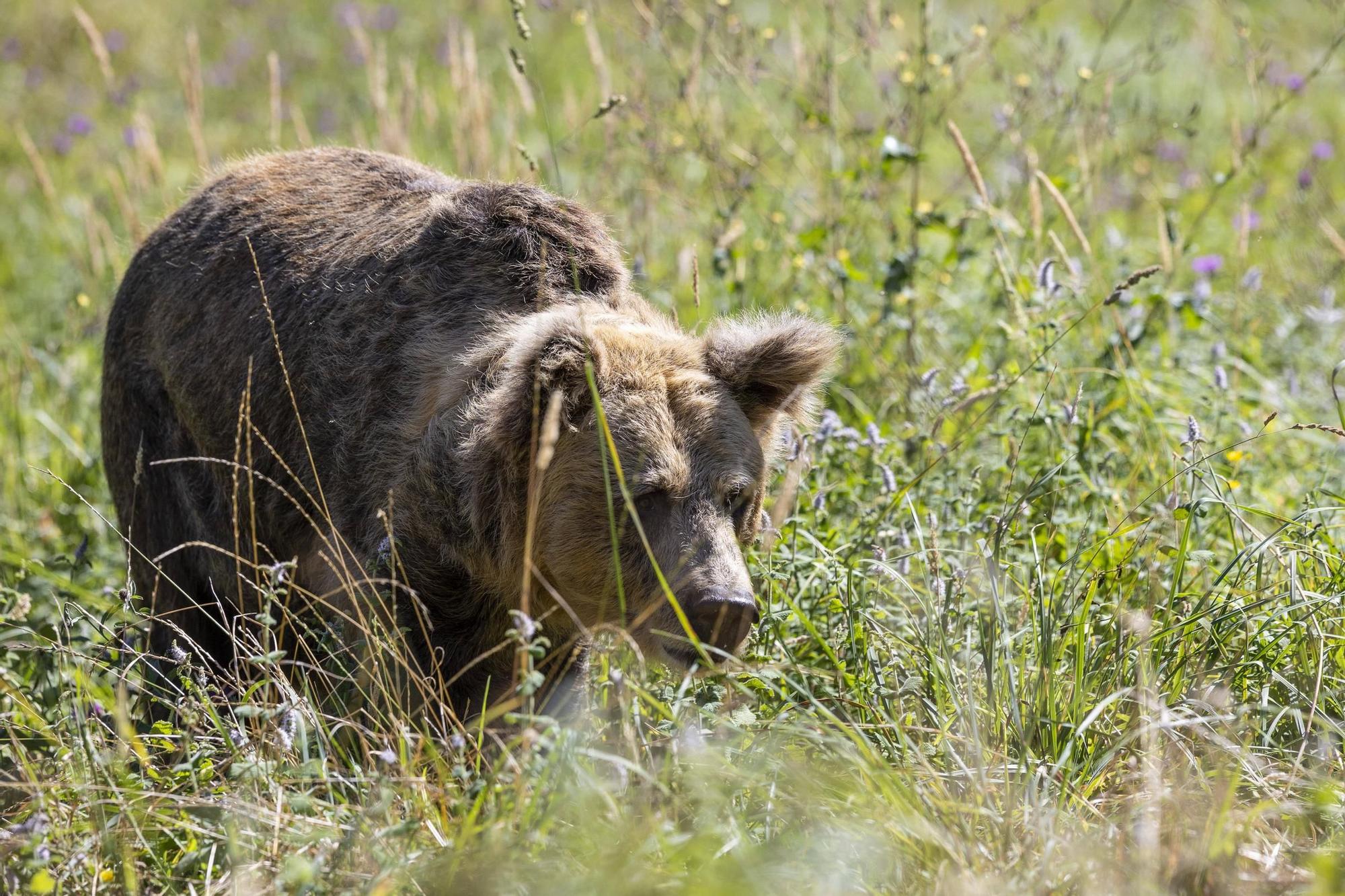 230726LNE_MIKI LOPEZ (178886702).jpg