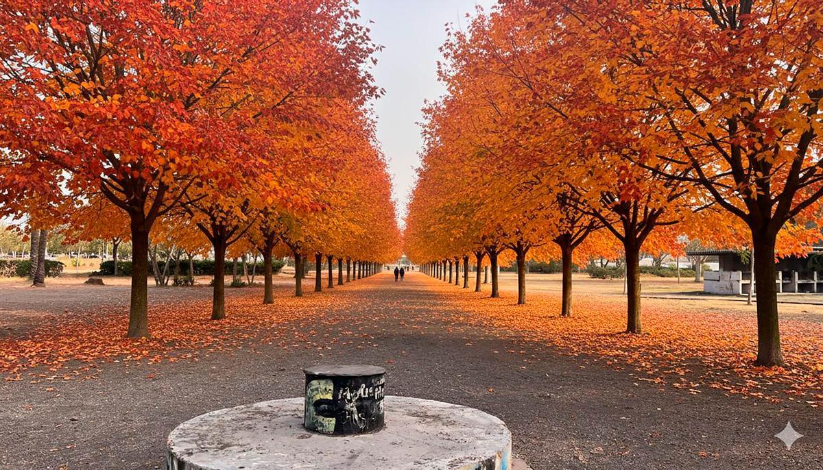 Recreación de como quedará la Gerencia.