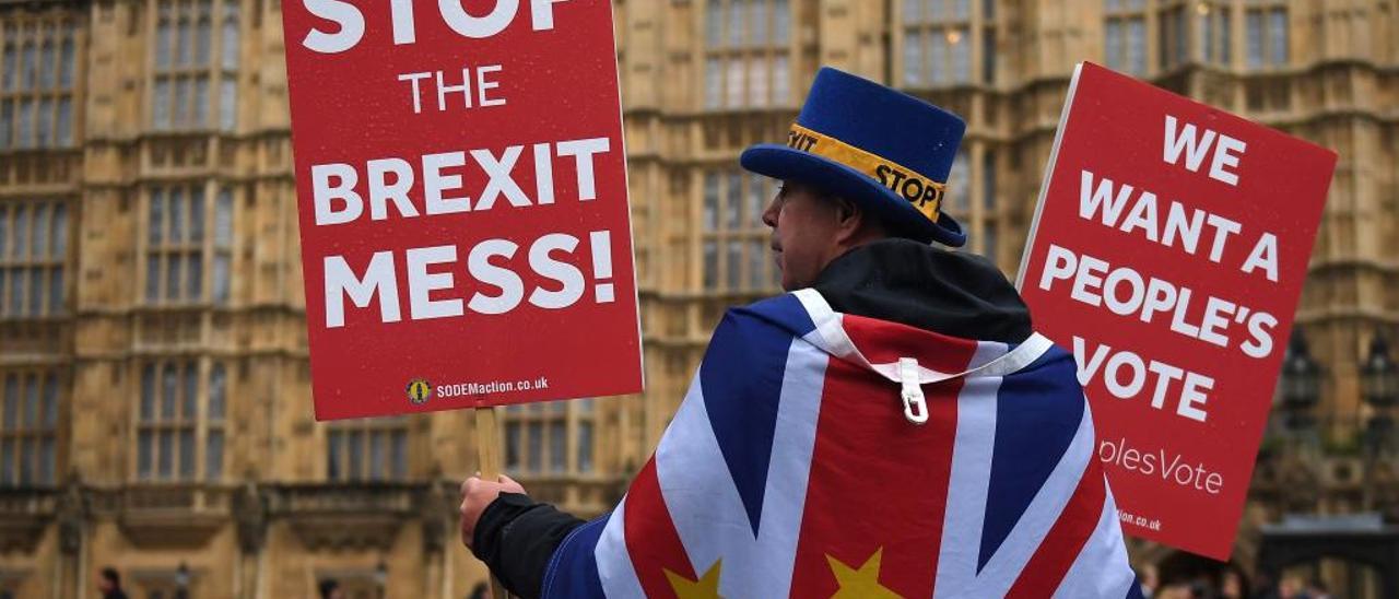 Una persona se manifiesta contra el brexit frente al Parlamento de Londres.