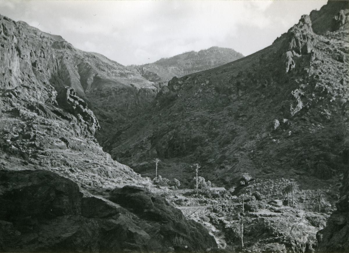 Barranco de La Aldea de San Nicolás.