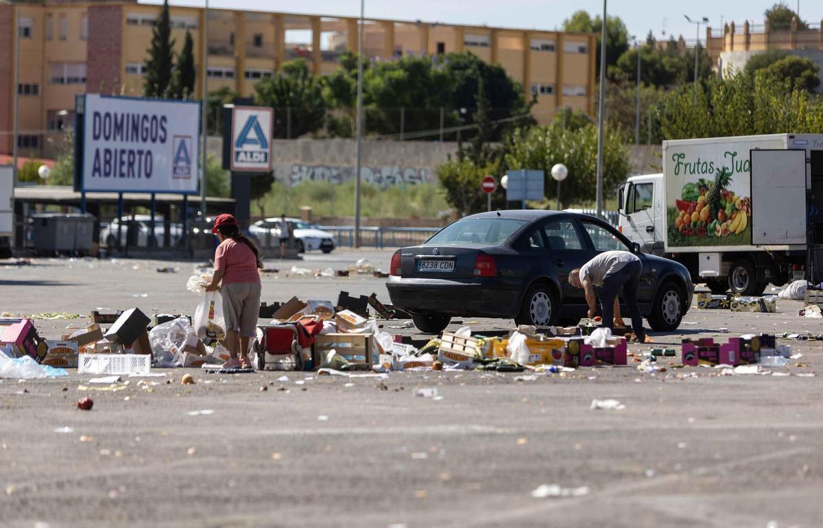 _MGL6988.jpg _MGL6988.jpg