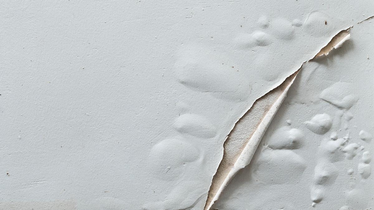 Cómo quitar el moho de la pared: más frecuente en invierno