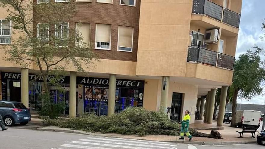 GALERÍA | El paso de la borrasca Ciarán por Cáceres