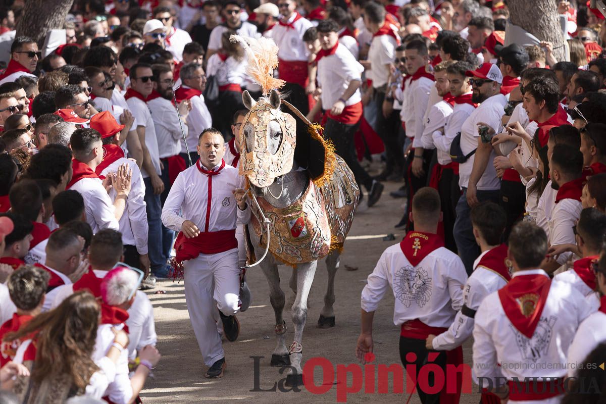 Así se ha vivido la carrera de Los Caballos del Vino en Caravaca