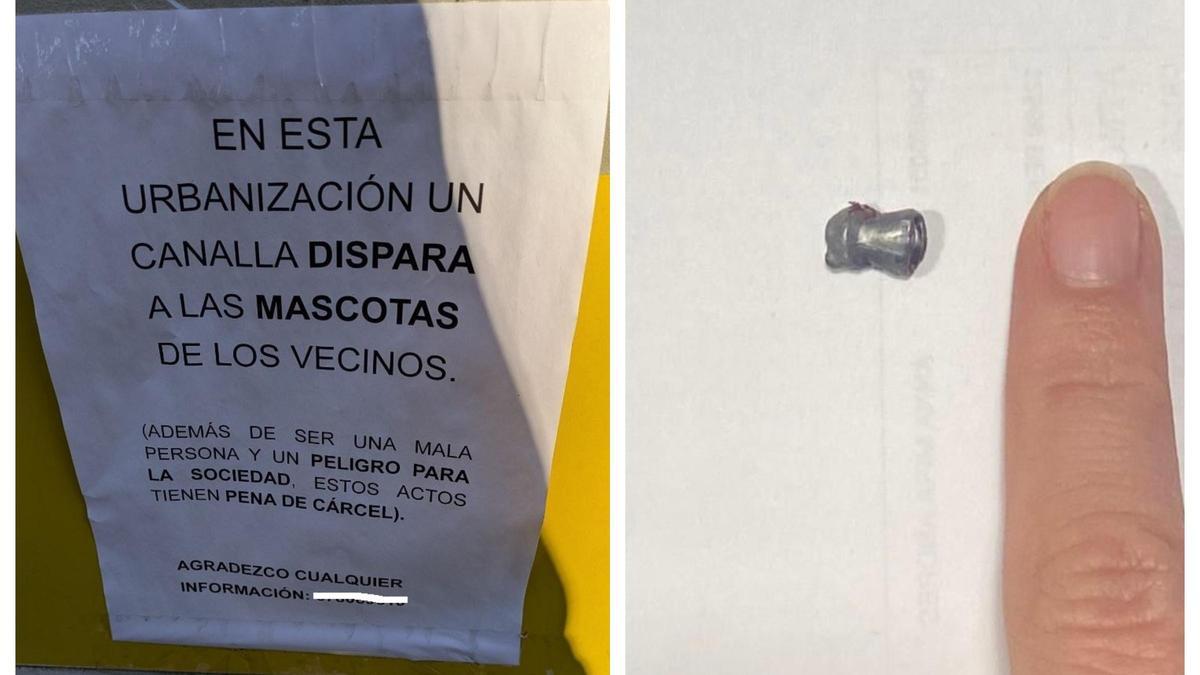 Cartel en el que se busca más información sobre los ataques (i), perdigón que se incrustó en el cuerpo del gato (d).