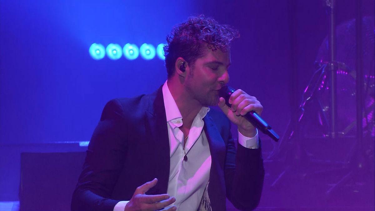 david-bisbal-conciertos
