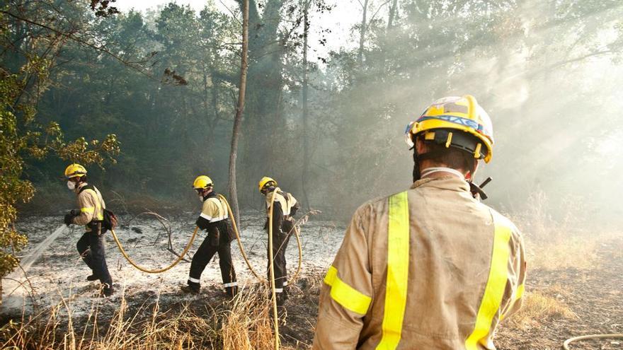 Declarada la alerta por riesgo de incendios forestales en El Hierro, La Gomera, La Palma, Tenerife y Gran Canaria