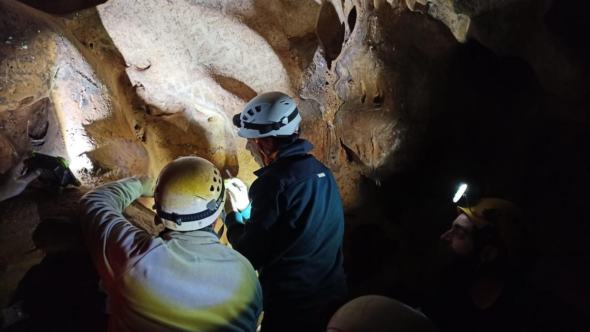 Trabajos para refrendar fechas del Arte Rupestre de la Cueva de la Victoria.