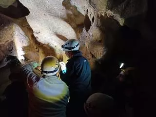 Un equipo internacional investiga la Cueva de la Victoria para refrendar fechas de su Arte Rupestre