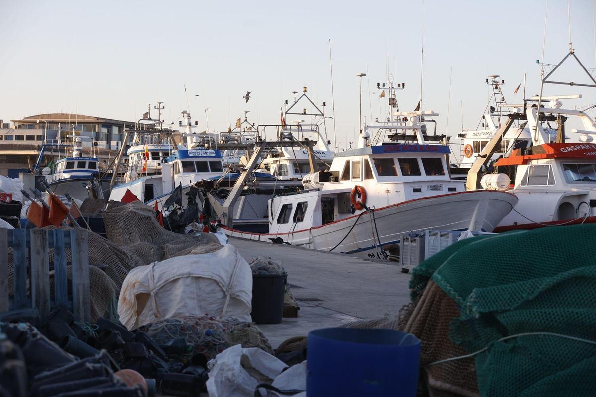 La flota pesquera de Santa Pola amarrada en una imagen captada esta mañana.