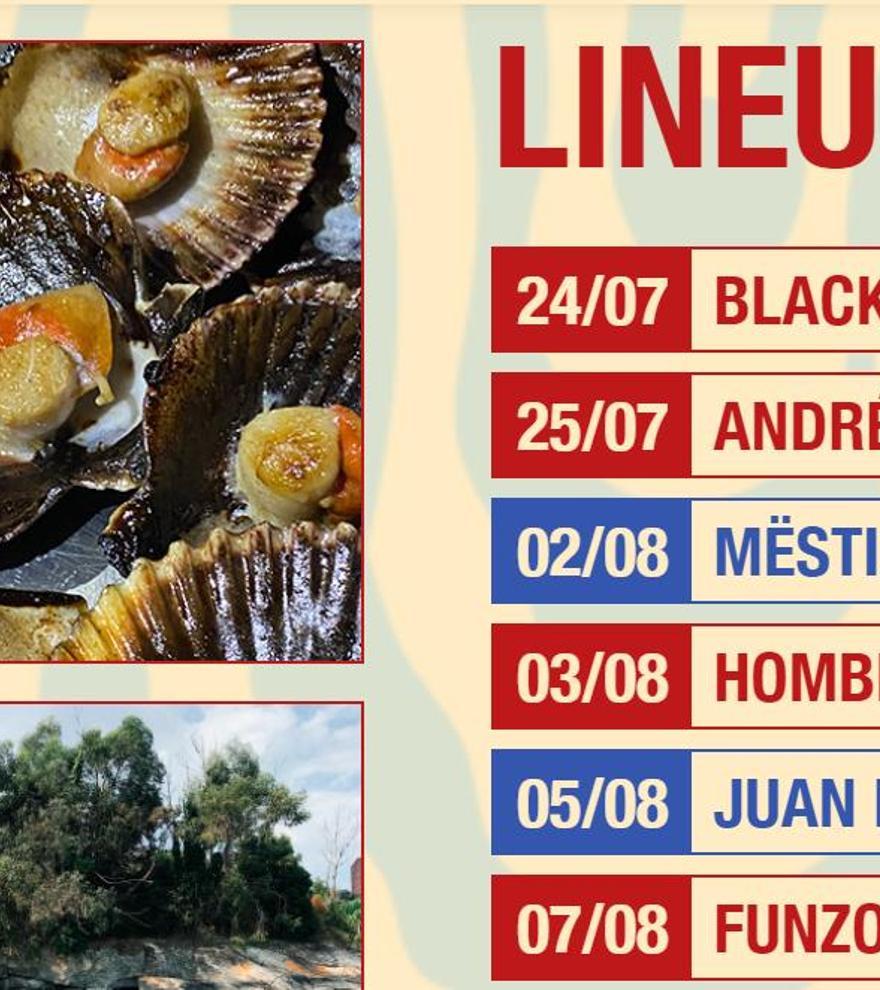 Festival Costa Feira: una oferta musical para todos los gustos