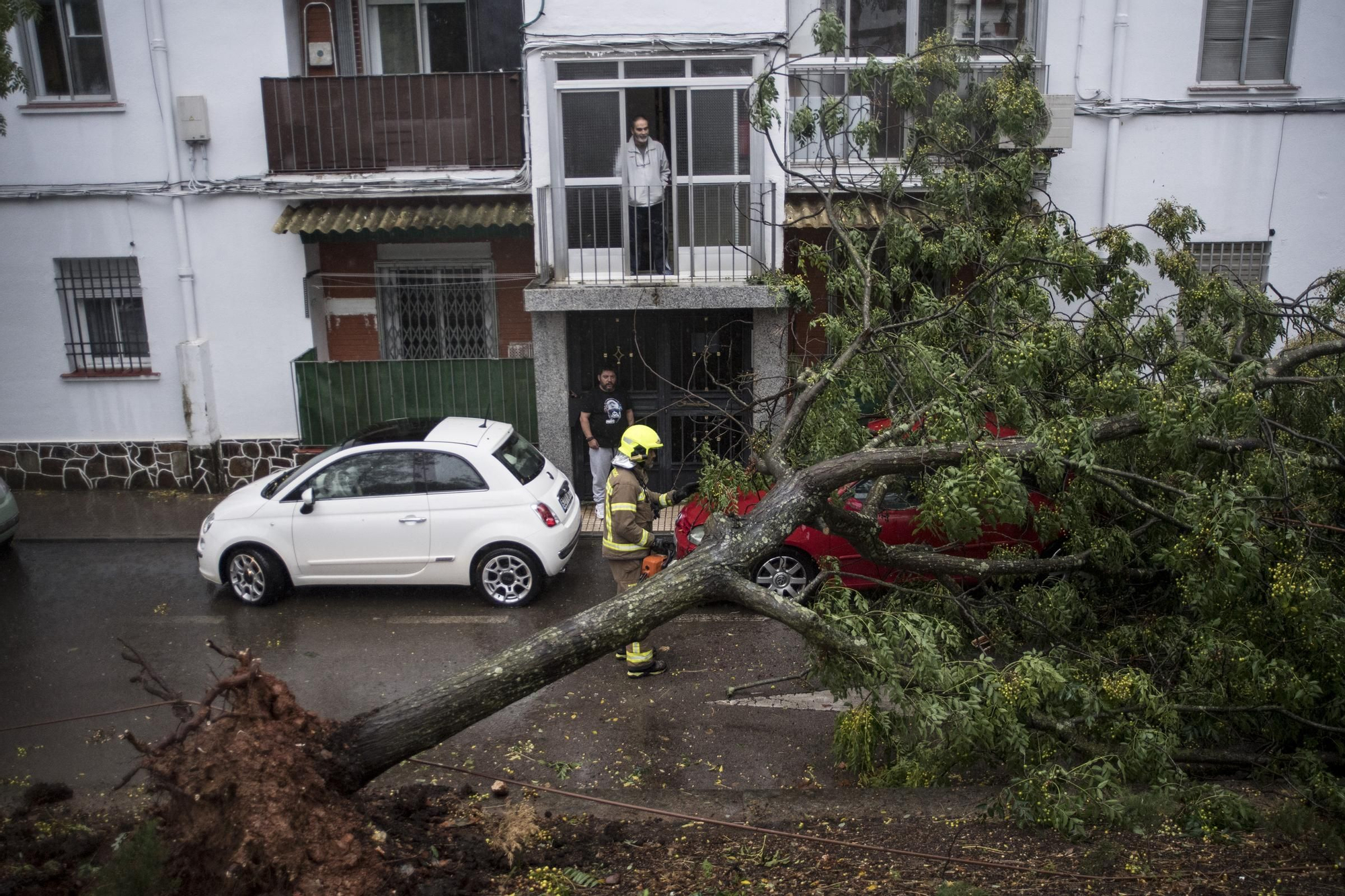 Fotogalería | Así afecta el temporal de lluvia y viento en Cáceres