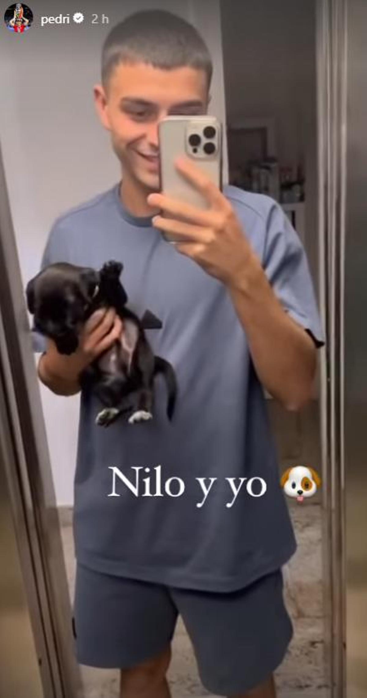 Historia en Instagram de Pedri con su mascota 'Nilo'
