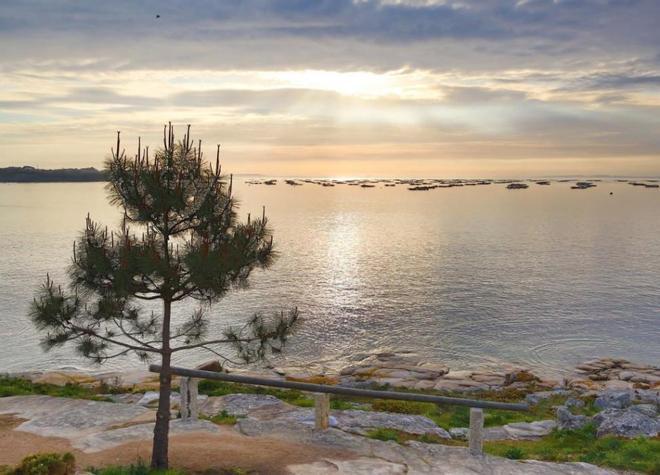 Punta Moreiras, un rincón que vale la pena visitar en el "paraíso del marisco"