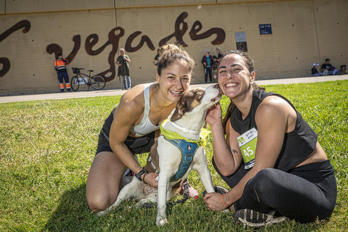 CAN WE RUN BARCELONA. La carrera organizada por Prensa Ibérica y El Periódico de Catalunya con la colaboración de Sport ,  donde las personas y sus mascotas perrunas corren en familia