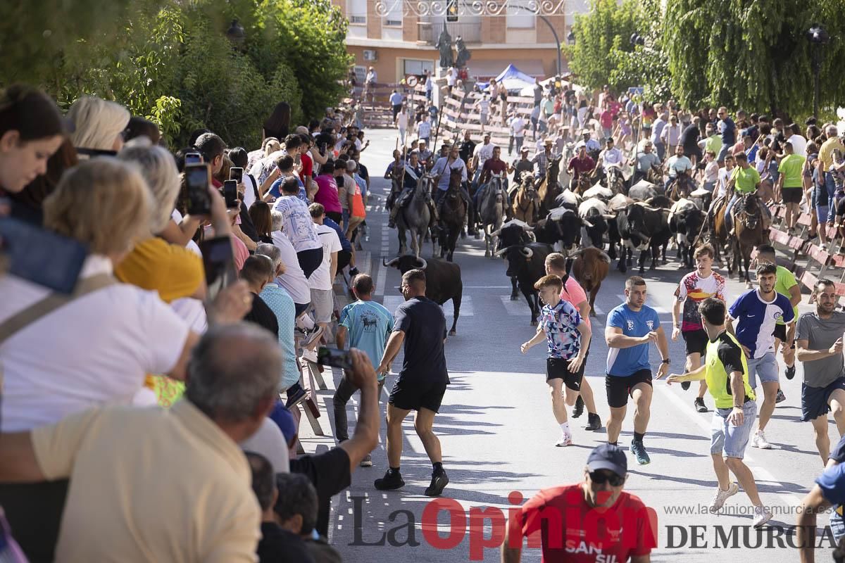 Sexto encierro de las Fiestas de Moratalla