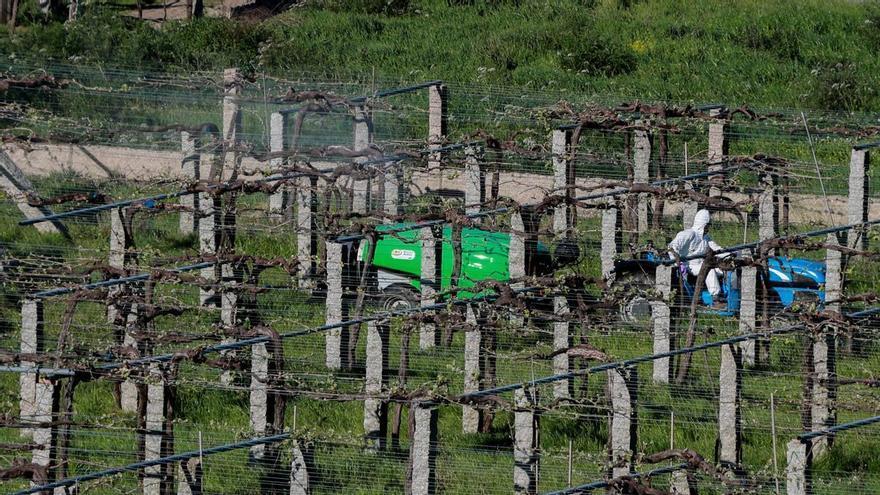 La aplicación de tratamientos en la vid empieza precipitadamente y mal