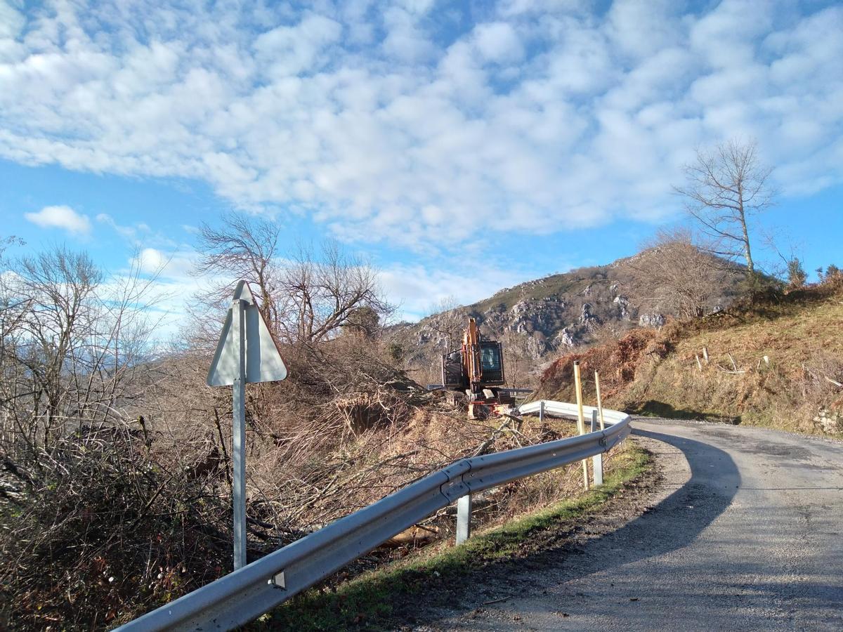 Tareas de desbroce en la carretera de la Collada de Arniciu