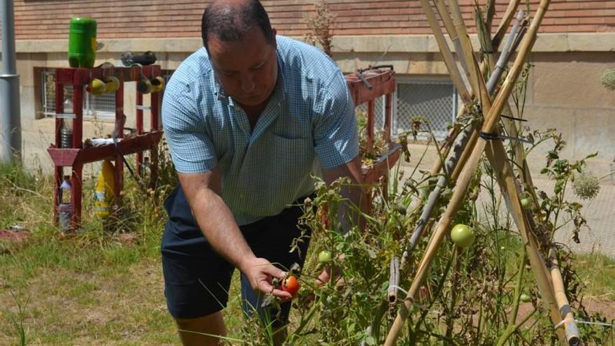 La UPCT ampliará su huerto urbano de Alfonso XIII y lo abrirá a los vecinos