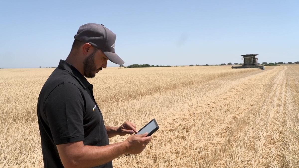 Un técnico controla la cosecha de trigo duro de la finca de Écija que irá para El Carpio.