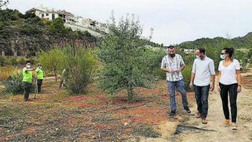 LA VALL D’UIXÓ RECUPERA UN BOSQUE JUNTO A LA MOLETA