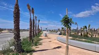 Cala Mosca: el último kilómetro virgen en Orihuela Costa se prepara para las primeras 188 viviendas turísticas